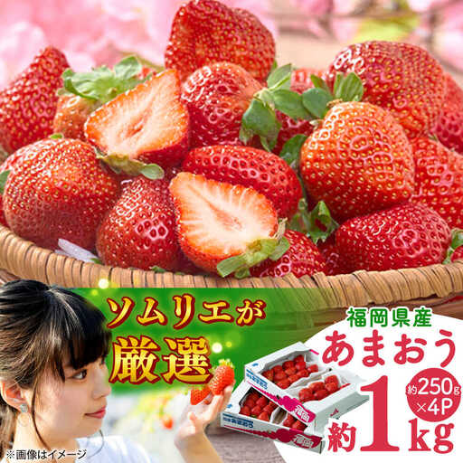 【先行予約】冬あまおう4P BGAG027 あまおうイチゴ