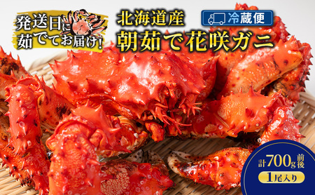 [冷蔵便]茹でたて直送!北海道産 朝茹で 花咲ガニ 約700g×1尾[ かに カニ 蟹 花咲ガニ 花咲蟹 海鮮 魚介 海の幸 海産物 家庭用 冷蔵 北海道 十勝 幕別 ]