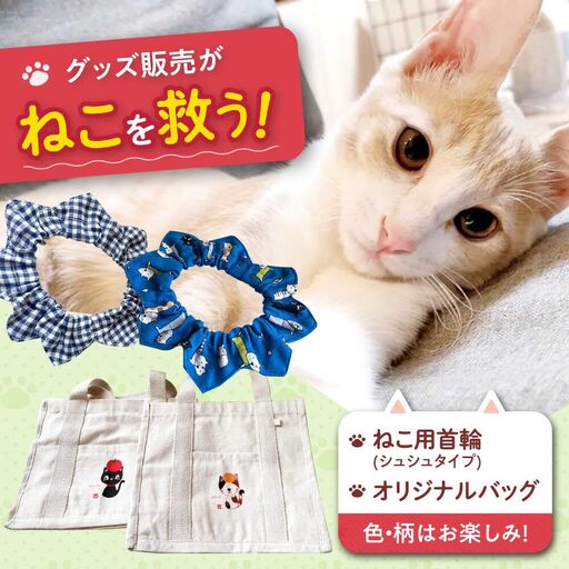 ねこ雑貨セット WithCatオリジナルバック＆ねこ用首輪（シュシュタイプ）大阪府高槻市/WithCat[AOEI002]