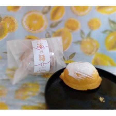 紀の宝マイヤーレモンケーキ～笑み結び～10個入り【1543950】