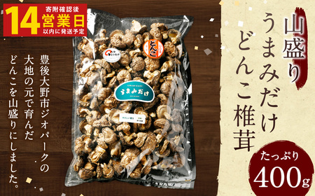 015-695x1 [入金確認後14日以内に発送] 山盛り うまみだけ どんこ椎茸 400g 椎茸 きのこ 茸