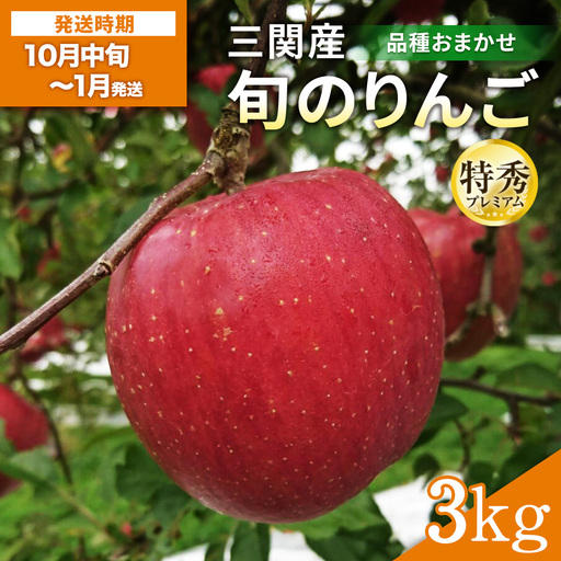 三関産 旬のりんご プレミアム 特秀 3kg （8玉～12玉） 旬 りんご 品種お任せ 果物 フルーツ 秋田県 三関 【三関果樹研究会】[B2-15102]