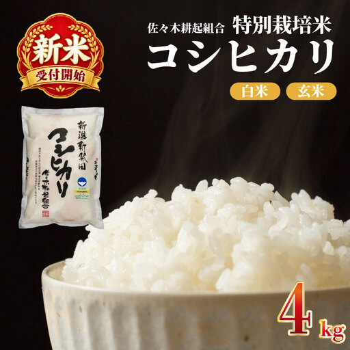 【新米受付開始！】 特別栽培米 米 コシヒカリ 計4kg 2kg × 2袋 米 白米 ご飯 料理 おにぎり 弁当 新潟県 新潟産 新発田産 コシヒカリ 佐々木耕起組合 新潟県 新発田市 非常食 備蓄 米 米 米 米 米 ssk002