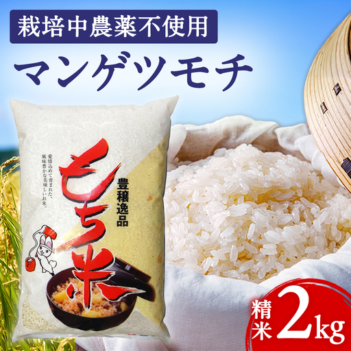 もち米 精米 2kg マンゲツモチ 栽培期間中無農薬 米 こめ  (BJ023)
