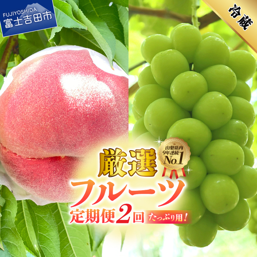 2回 厳選旬のフルーツ定期便(桃2kg・シャインマスカット1kg以上)[2026年発送]定期便