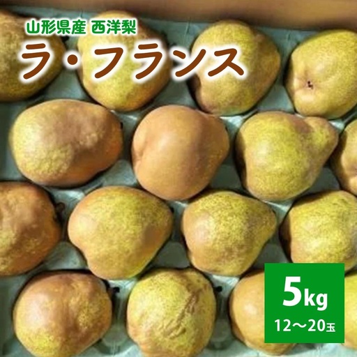 西洋梨（ラ・フランス）５ｋｇ　ご家庭用　0056-2619