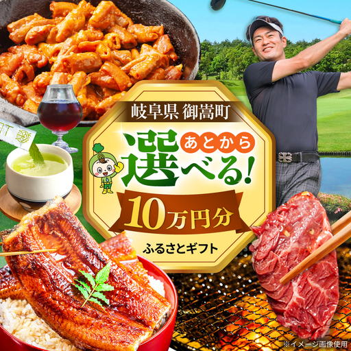 【あとから選べる】 岐阜県御嵩町ふるさとギフト 10万円分  飛騨牛 うなぎ ゴルフ場 あとから ギフト[AVBM010]