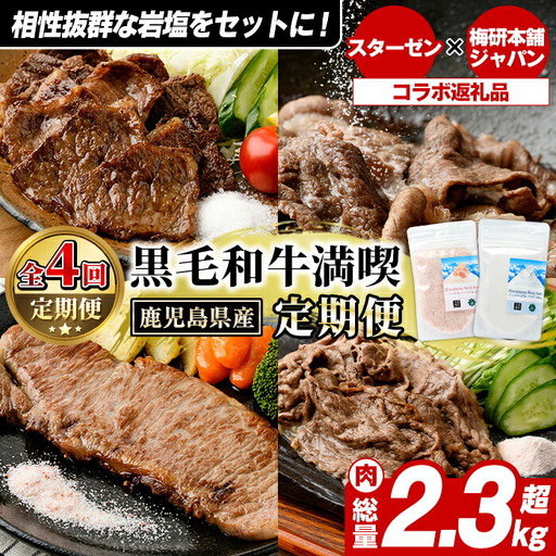 [定期便・全4回(4月・7月・10月・12月)]岩塩付き!鹿児島県産 黒毛和牛満喫定期便 (総量2.3kg超) 国産 牛肉 モモ スライス サーロイン ステーキ 切り落とし ロース 焼肉 焼肉セット コラボ ピンク 岩塩 [スターゼン×梅研本舗ジャパン]akn501-05