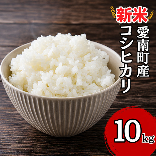 【新米】 令和7年産 コシヒカリ 10kg 新米 愛媛県 愛南町 青果市場