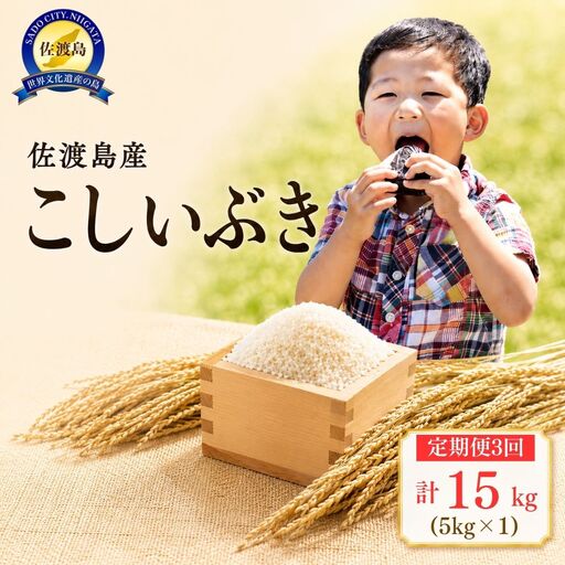 【定期便 3回 】こしいぶき 5kg| 新潟県 佐渡市 こしいぶき