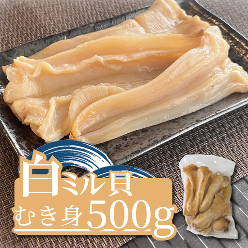 下処理済み 白ミル貝 むき身 500g 冷凍