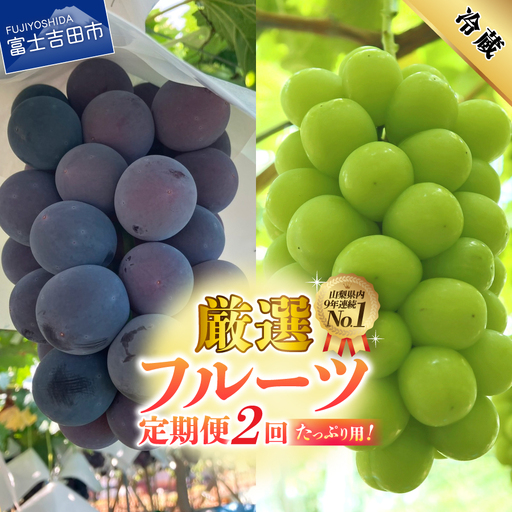 2回 厳選旬のフルーツ定期便(黒ぶどう1kg以上・シャインマスカット1kg以上)[2026年発送]定期便