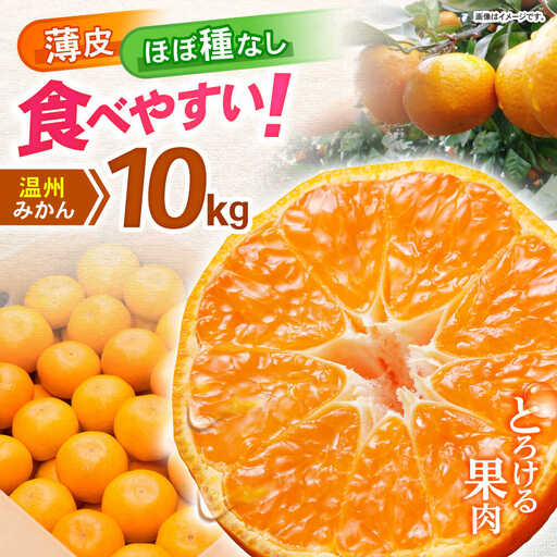 ※【2026年11月中旬より順次発送／先行予約】諫早市産 温州みかん 10kg / みかん ミカン 蜜柑 オレンジ フルーツ ふるーつ 果物 くだもの 10kg / 諫早市 / 肥前グローカル株式会社 [AHDI010]