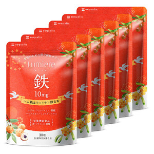 鉄分 サプリ ルミエル 鉄 10mg フェリチン鉄 ヘム鉄 葉酸 栄養機能食品 6袋（6ヶ月分）
