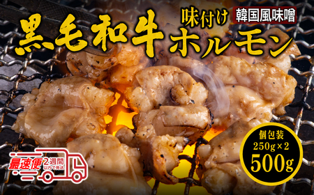 〈スピード出荷〉黒毛和牛ホルモン （韓国味噌ダレ 小分け 500g）ホルモン MSK019