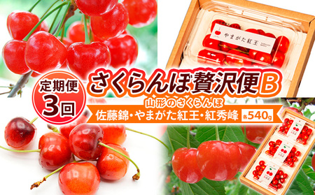 【定期便3回】【さくらんぼ贅沢便B】山形のさくらんぼ 佐藤錦・やまがた紅王・紅秀峰 各540g×3回 【令和9年産先行予約】FS26-652