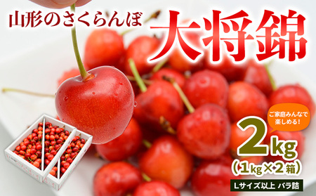 【ご家庭みんなで楽しめる！2kg】山形のさくらんぼ 大将錦 2kg Lサイズ以上 バラ詰(1kg×2箱) 【令和9年産先行予約】FS26-650