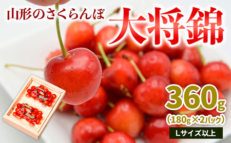 山形のさくらんぼ 大将錦 360gLサイズ以上 (180g×2パック) [令和9年産先行予約]FS26-644