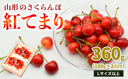 山形のさくらんぼ 紅てまり 360g Lサイズ以上 (180g×2パック) [令和9年産先行予約]FS26-643