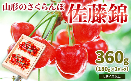 山形のさくらんぼ 佐藤錦 360g Lサイズ以上 (180g×2パック) [令和9年産先行予約]FS25-023