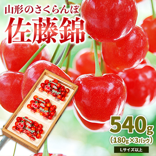 山形のさくらんぼ 佐藤錦 540g Lサイズ以上 (180g×3パック) 【令和9年産先行予約】FS25-024