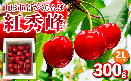 山形市産 さくらんぼ【紅秀峰】2Lサイズ 300g バラ詰め【令和9年産先行予約】FS25-033