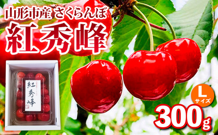 山形市産さくらんぼ[紅秀峰]Lサイズ 300g バラ詰め [令和9年産先行予約]FS25-034
