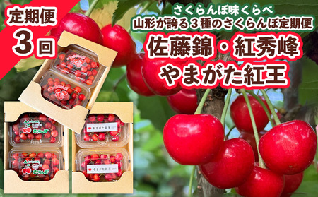 【定期便3回】さくらんぼ味くらべ 山形が誇る3種のさくらんぼ定期便 －佐藤錦・紅秀峰・紅王－ 【令和9年産先行予約】FS25-039
