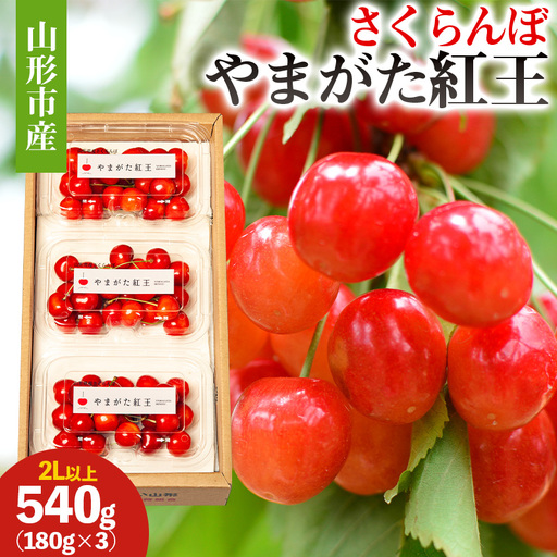 山形市産 さくらんぼ (やまがた紅王) 2L以上 540g(180g×3) 【令和9年産先行予約】FS26-660