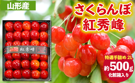 さくらんぼ 紅秀峰 ”特選手詰め” 2Lサイズ 化粧箱入り(約500g) 【令和9年産先行予約】FS26-616