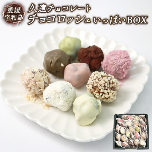 ロッシェ 25個 久遠 チョコレート ちょこちょこ チョコレート J010-167007