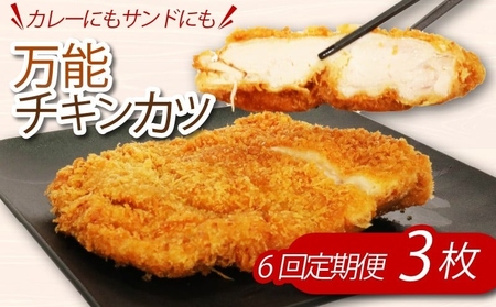 [定期便/隔月6回]鶏もも肉 チキンカツ 定期便 [hn132]