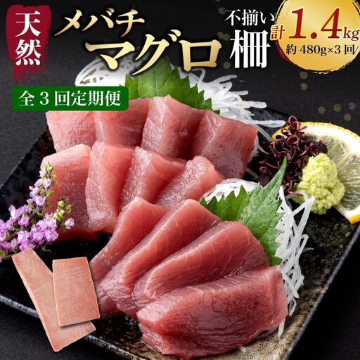 【 3回定期便 】訳あり 天然メバチマグロ 480g  (不揃い柵) メバチマグロ めばちまぐろ めばち メバチ まぐろ マグロ 赤身 鮪 サク 柵 中トロ 天然 天然まぐろ 天然マグロ 刺身 あかみ お刺身 食べ比べ 海鮮丼 丼 魚 さかな 新鮮 高知 室戸 冷凍 小分け 海鮮
