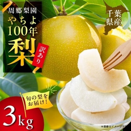 周郷梨園のやちよ100年梨家庭用(3kg)_周郷梨園 やちよ100年 梨 なし 家庭用_