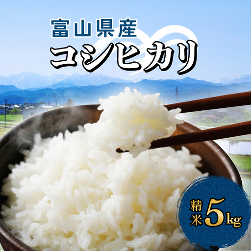 富山県産 コシヒカリ 5kg 精米