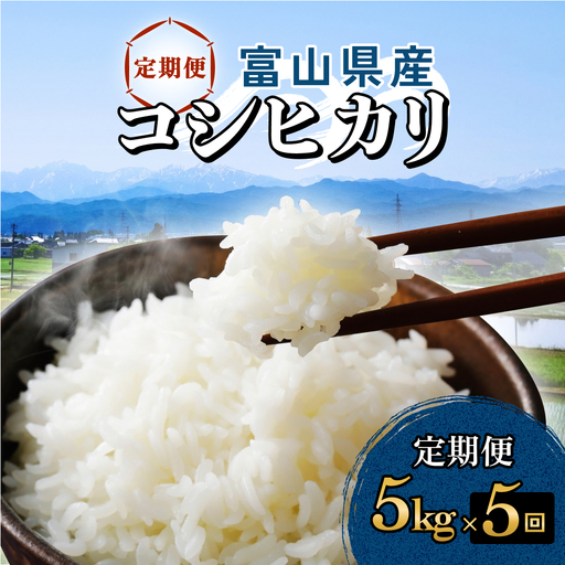【5回定期便】富山県産 コシヒカリ 5kg