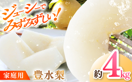 【先行予約】 川渕果樹園 豊水梨 約4kg 家庭用 〈2025年10月?発送〉 / 梨 なし ナシ 豊水 果物 フルーツ デザート 夏 秋 ヘルシー 健康 水分補給 【株式会社Dorago】[ATAM057]