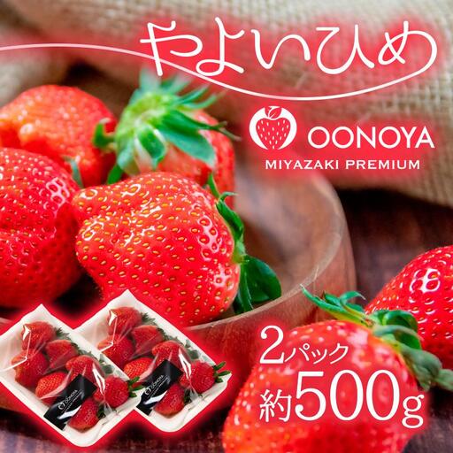 [先行予約]苺大野屋 やよいひめ 厳選いちご250g×2パック(合計500g) 宮崎県西都市[28-4a]