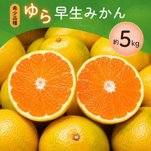 【訳あり・ご家庭用】 【農家直送】甘くて濃厚！希少品種 ご家庭用 ゆら早生みかん 約5kg 有機質肥料100% サイズ混合 【2026年10月上旬～11月下旬に順次発送予定（お届け日指定不可）】【CE-nuk109F】