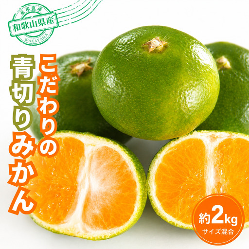 【訳あり・ご家庭用】 【農家直送】こだわりの青切りみかん 約2kg  有機質肥料100%　 サイズ混合　【2026年9月下旬～10月中旬頃発送予定（お届け日指定不可）】【CE-nuk169B】