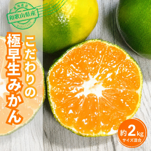 【訳あり・ご家庭用】 【農家直送】こだわりの極早生みかん 約2kg 【数量限定】 有機質肥料100% サイズ混合 【2026年9月下旬～10月中旬頃発送予定（お届け日指定不可）】 有田産【CE-nuk170B】