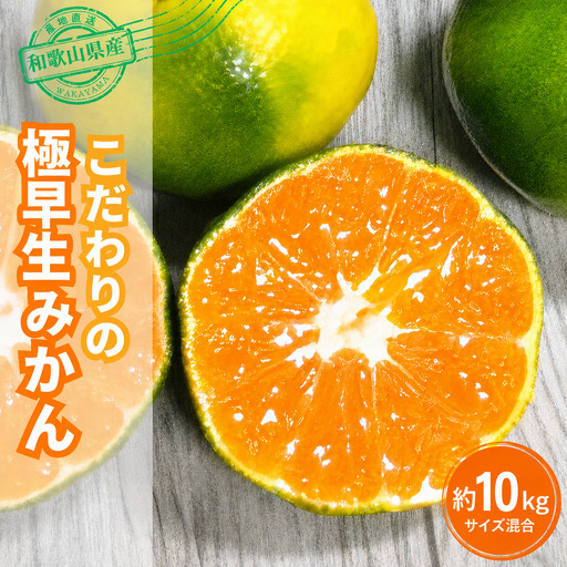 【訳あり・ご家庭用】＼光センサー選別／ 【農家直送】こだわりの極早生みかん 約10kg 【数量限定】 有機質肥料100% サイズ混合 【2026年9月下旬～10月中旬発送予定（お届け日指定不可）】 有田産【CE-nuk135E】