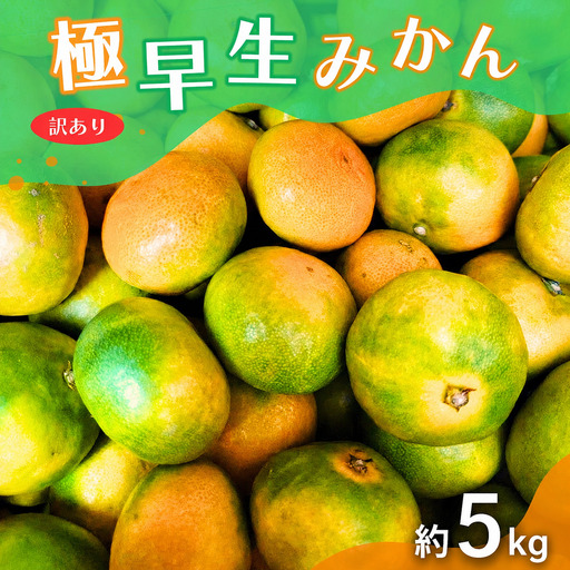 【訳あり・ご家庭用】こだわりの極早生みかん 約5kg 【2026年10月上旬～11月上旬に順次発送予定（お届け日指定不可）】 有機質肥料100% サイズ混合  有田産【CE-nuk165B】