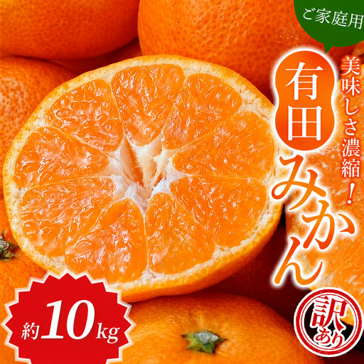 【訳あり・ご家庭用】農家直送 有田みかん 約10kg サイズ混合 【2026年11月上旬～2027年1月上旬に順次発送予定（お届け日指定不可）】【北海道・沖縄・離島への配送不可】 【CE-nuk138H】
