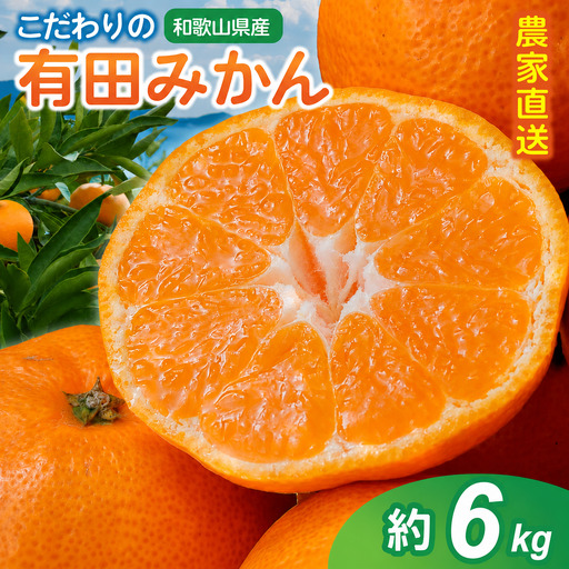 【訳あり・ご家庭用】こだわりの有田みかん 約6kg＋150g(傷み補償分)  【2026年11月中に順次発送予定】光センサー選別 農家直送 / みかん ミカン 有田みかん 温州みかん 柑橘 フルーツ 果物 くだもの 旬 人気 みかん先行予約 家庭用 和歌山【CE-nuk102C-11】