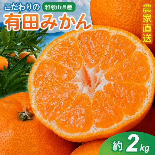 [訳あり・ご家庭用][2026年11月中に順次発送予定]こだわりの有田みかん 約2kg 光センサー選別 農家直送 / みかん ミカン 有田みかん 温州みかん 柑橘 フルーツ 果物 くだもの 旬 人気 みかん先行予約 家庭用 和歌山[CE-nuk159C-11]