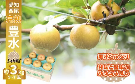 【数量限定】＜きらり園＞ 完熟 豊水梨 3kg・K341
