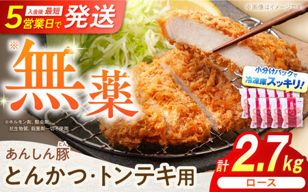 とんかつ・トンテキ用 ロース 計27枚 藤井ファーム[AWAF066]豚ロース