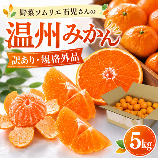温州みかん 5kg 訳あり 規格外 5キロ 柑橘 先行予約 野菜ソムリエ石児さん 豊予農場 ＜103-036＞