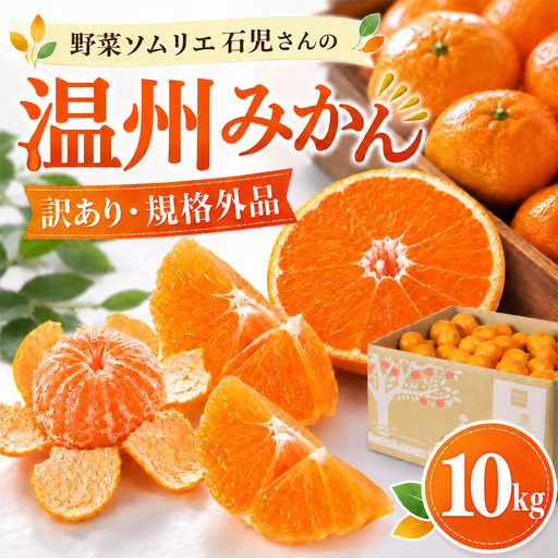 温州みかん 10kg 訳あり 規格外 10キロ 柑橘 先行予約 野菜ソムリエ石児さん 豊予農場 ＜103-037＞